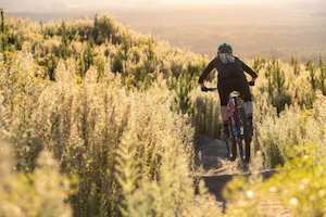 Products: Half Day One on One Coaching Clinic