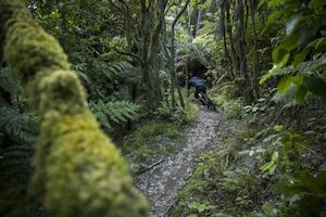 Products: Enduro Performance Clinics