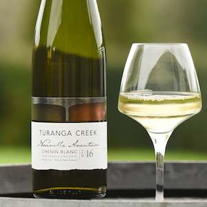 Frontpage: Chenin Blanc 2016 (2, 4, 6, or 12 Pack)