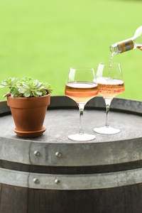 Rose 2019 (2, 4, 6, or 12 Pack)