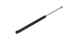 Products: Pivot strut