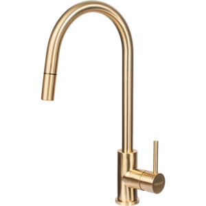 Aurora Brass Gooseneck Pullout Mixer