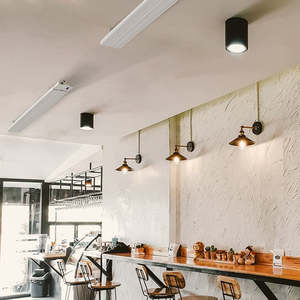 Herschel: Herschel Summit 2600 Watt Heater with IR Remote Control - White