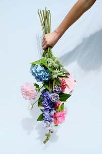 Frontpage: The Party Bunch