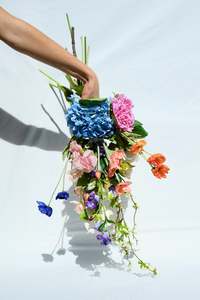 Frontpage: The Bold One