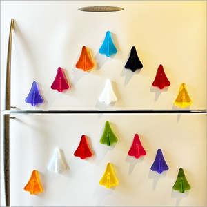 Homewares: Crystal Ashley - Jet Plane Magnets