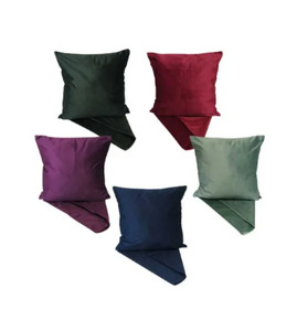 Cushions: StyleZone - Velvet Feel Cushion