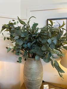 Silver Dollar Branch