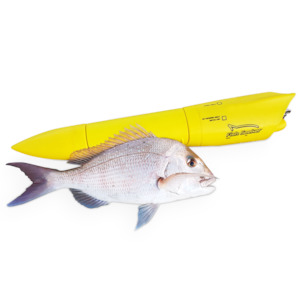 Cart: Fish Seeker