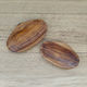Nice.Jo. - Jo Bidwell. Pair of Shells