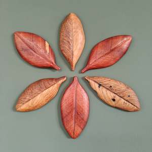 Nice.Jo. - Jo Bidwell. Pohutukawa Leaves 01