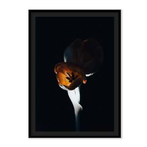 The L Studio. NIGHT FLAMES - Limited Edition