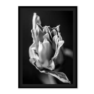 The L Studio. BECOMING - Limited Edition