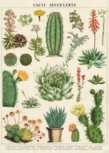 Products: Cavallini Cacti & Succulents Poster Wrap
