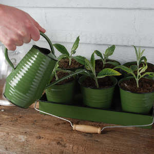 Mothers Day 1: Retro Watering Can