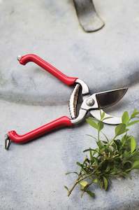 Plant Accessories: Pruning Shears (Small)