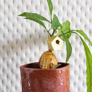 Cover Pots: Tiny birdhouse (for your plants)
