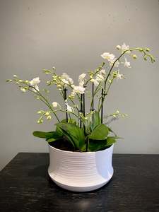Gifts: Pot de fleur