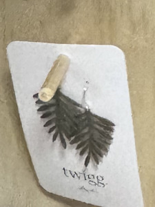 Photography: Patina lone pine earring