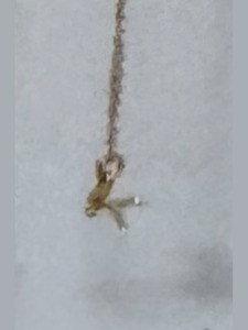 Origami bird necklace