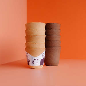 All: half & half (vanilla / chocolate) twiice cups