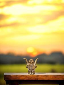 Dream Zone: Golden Laughing Buddha – Hands Up Pose (Symbol of Joy, Prosperity & Good Luck)