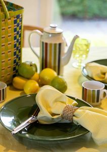 Home: Thin Pin Citrus Cotton Linen Napkins