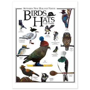 Products: Aotearoa New Zealand Native Birds In Hats – Premium Matte Paper Poster Print – Two Ruru