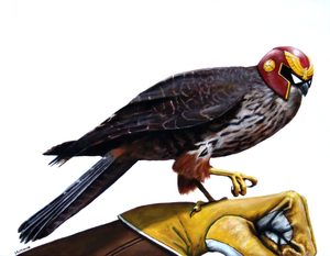 Digital Downloads: Captain Falcon Falcon – PDF – Two Ruru