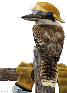 Digital Downloads: Climate Change Kookaburra – PDF – Two Ruru