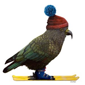 Digital Downloads: Skea – PDF – Two Ruru