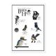 Aotearoa NZ Native (Small) Birds in Hats – Sticker Sheet – Two Ruru