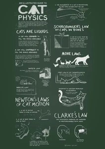 Cat Physics – PDF – Two Ruru