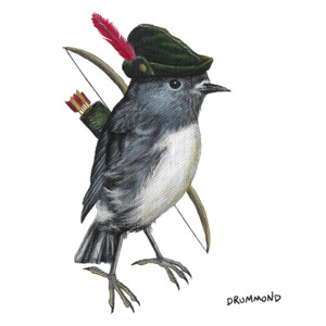 South Island Robin Hood – PDF – Two Ruru