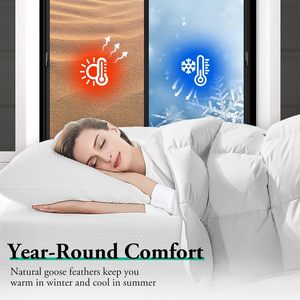 Products: ZUNI Goose Feather Down Comforter Queen Size