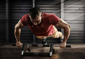 Fortis Chin Up Bar (Silver)