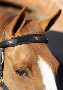 Premier Equine England: Premier Equine Magni-Teque Magnetic Browband PEI