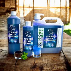 Eco Horse: Eco Horse Purple Blue Shampoo