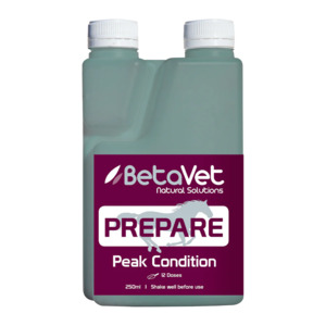 BetaVet Prepare