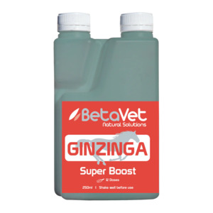 BetaVet GINZINGA