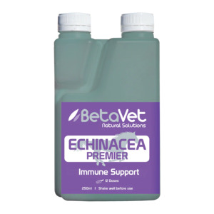 Betavet: BetaVet ECHINACEA PREMIER