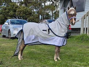 Ripstop Cotton Sets: 3pc Ripstop-Mesh Cotton Set - Mini