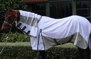 Ripstop Mesh Combo + Tail - Surchingle