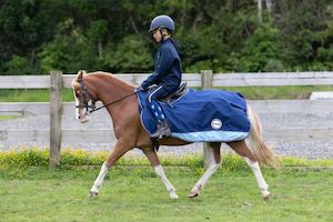 TERRAIN Exercise Quarter Sheet - 0g