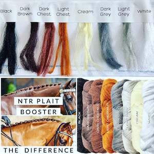 NTR Plait Booster