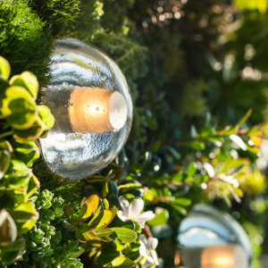 Wall Light: UWL-SYLVIA  Sylvia Wall Light