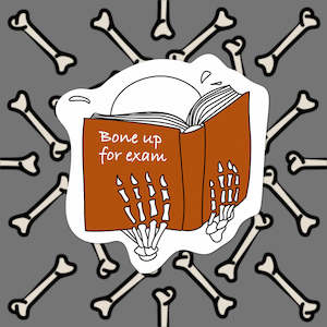 Travel Stickers: Bone Up