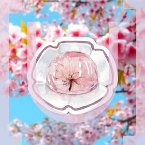 Sakura Foods: Sakura Jelly