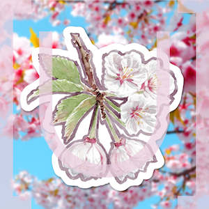 Sakura Foods: Sakura