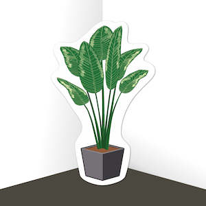 Pot Plants: Pot Plant Palm